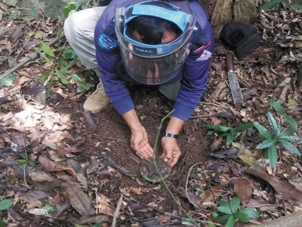 Ketegangan Meningkat! Ranjau Darat Guncang Perbatasan Thailand-Kamboja