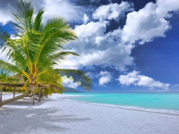 Menikmati-Pesona-Alam-Koh-Ta-Kiev,-Pulau-Eksotis-di-Laut-Kamboja