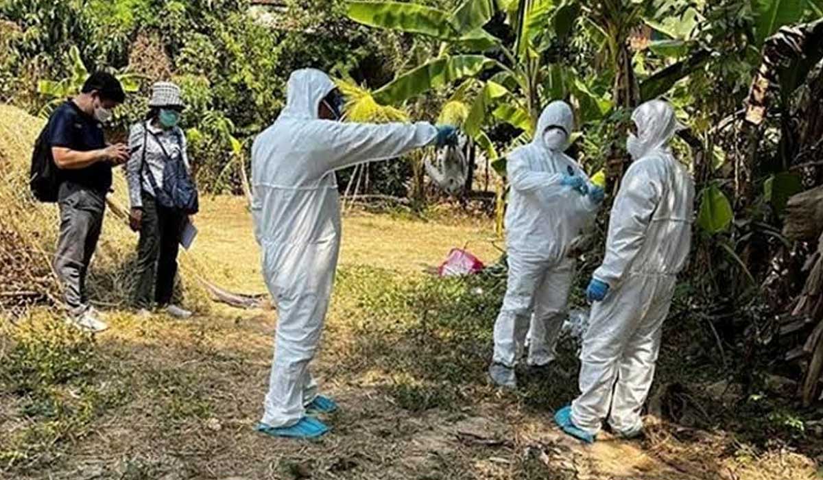 Respons Pemerintah dan Kebijakan Darurat