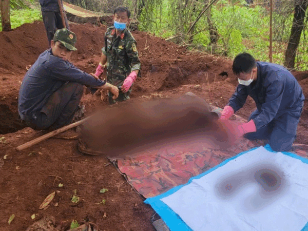 Mengejutkan! Tim K52 Temukan Jenazah Tiga Tentara yang Gugur di Hutan Kamboja